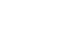 Garbera – Fotograf Ślubny Legnica i Wrocław | Fotografia Ślubna Dolny Śląsk